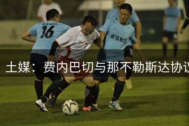 土媒：费内巴切与那不勒斯达协议，将以600万欧签下卢卡库
