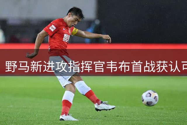 野马新进攻指挥官韦布首战获认可，队员赞其专业能力